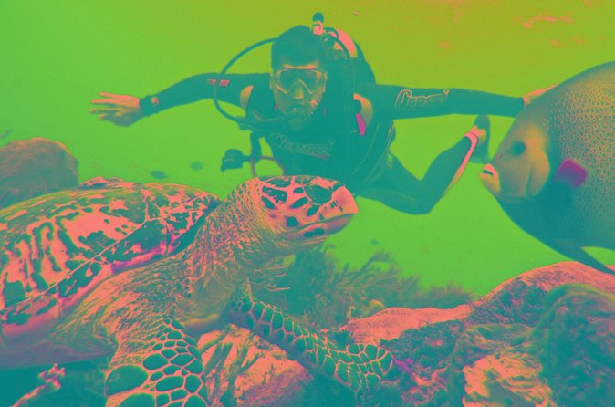 Scuba Diving Tour - The second session and the rhythm of the day