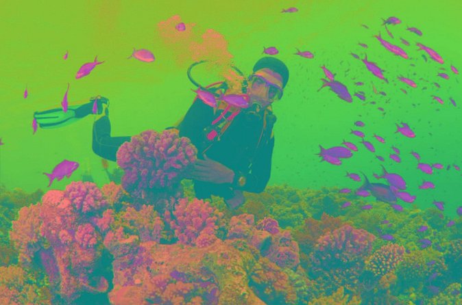 Scuba Diving Tour - Swimming, snorkeling, and sun time on the Mediterranean