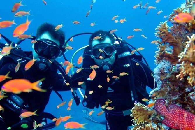 Scuba Diving Tour - Lunch on board, with a sensible backup plan