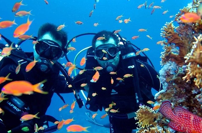 Scuba Diving Tour - How the tour suits different kinds of visitors