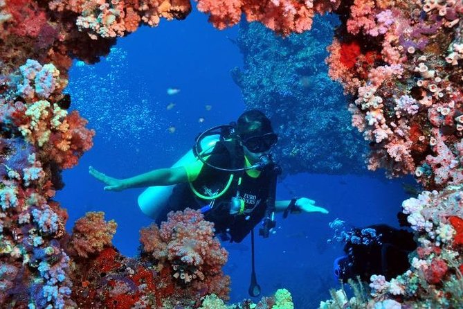 Scuba Diving Tour From Kusadasi / Selcuk - Who should book this experience?