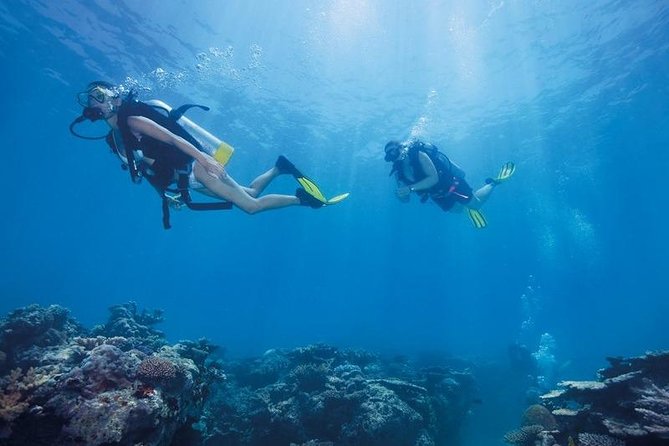 Scuba Diving Tour From Kusadasi / Selcuk - What to bring and what costs extra