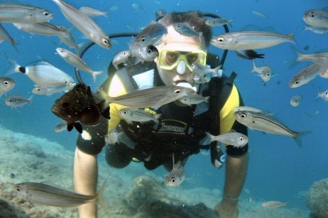 Scuba Diving Tour From Kusadasi / Selcuk - FAQ