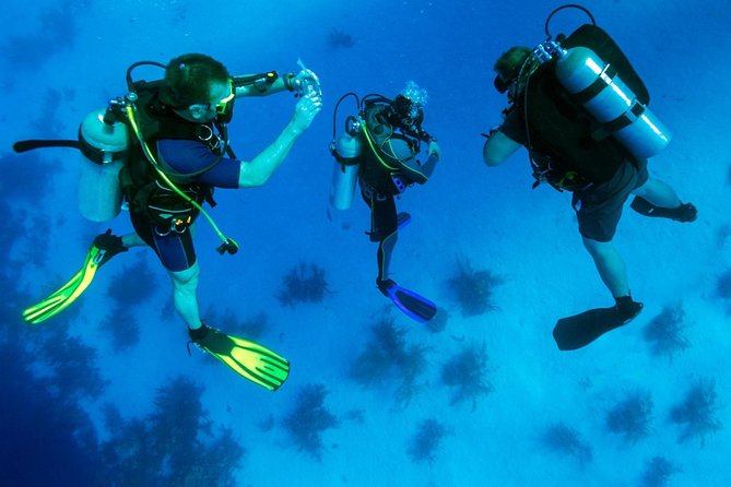 Scuba Diving Tour From Kusadasi / Selcuk - What your roughly seven-hour day looks like