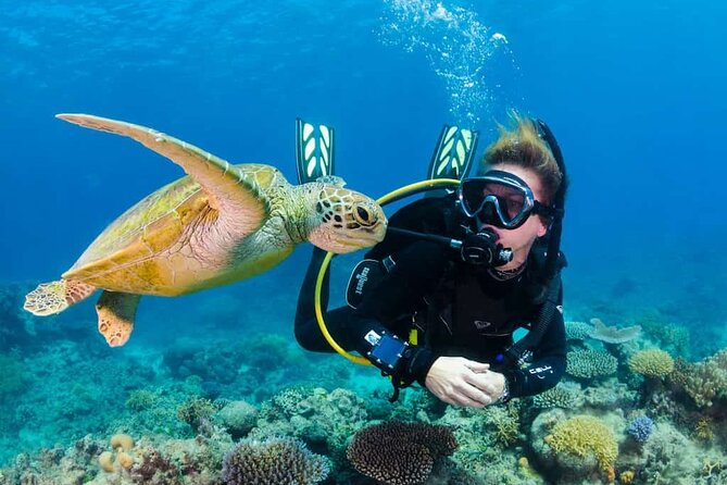 Scuba Diving Tour in Kemer with Lunch and Transfer - What Your Six Hours in Kemer Looks Like
