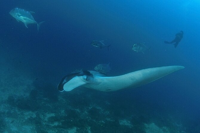 SCUBA Diving tour Racha and Coral islands full day tour - Leaving Phuket for Racha Noi at 7:30 am