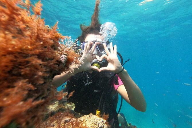 Scuba Diving Tour With Lunch in Alanya - Lunch and a break on the boat