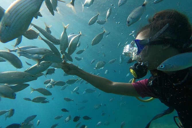 Scuba Diving Tour With Lunch in Alanya - Practical details that make the day easier