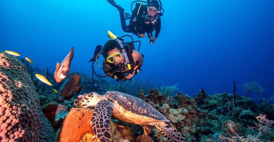 Scuba Diving Tour with Transfer From Alanya and city of Side - Meeting the crew and learning the basics