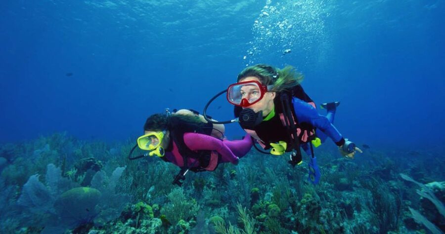 Scuba Diving Tour with Transfer From Alanya and city of Side - Practical tips for a smoother day