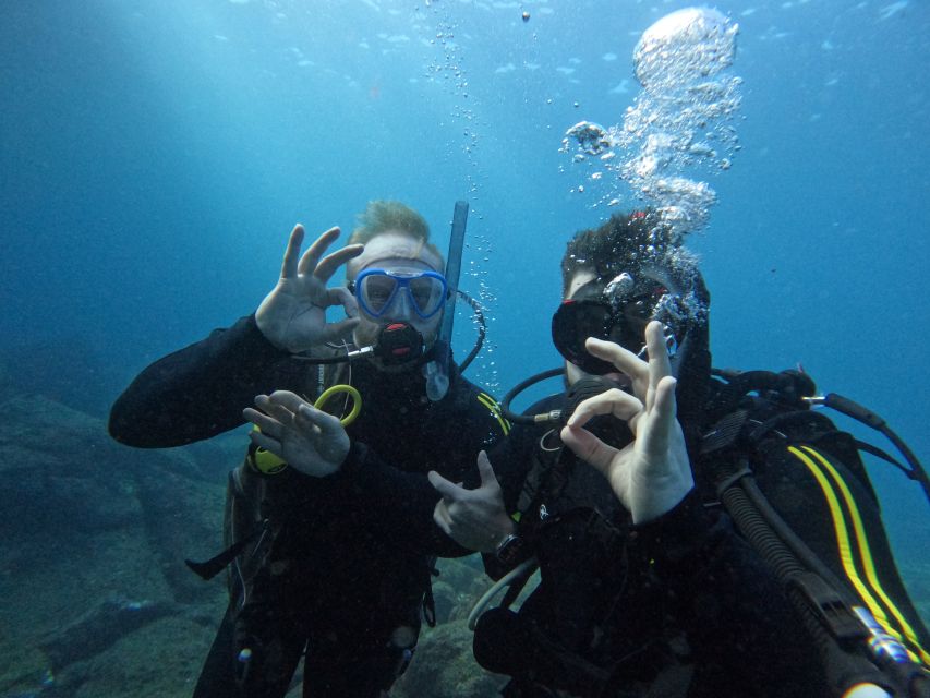 Scuba Diving trips for Certified Divers in Tenerife - Meeting at Puerto Colón and getting ready