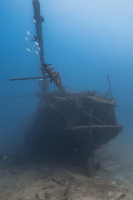 Scuba Diving trips for Certified Divers in Tenerife - Wrecks, caves, and the famous Island site