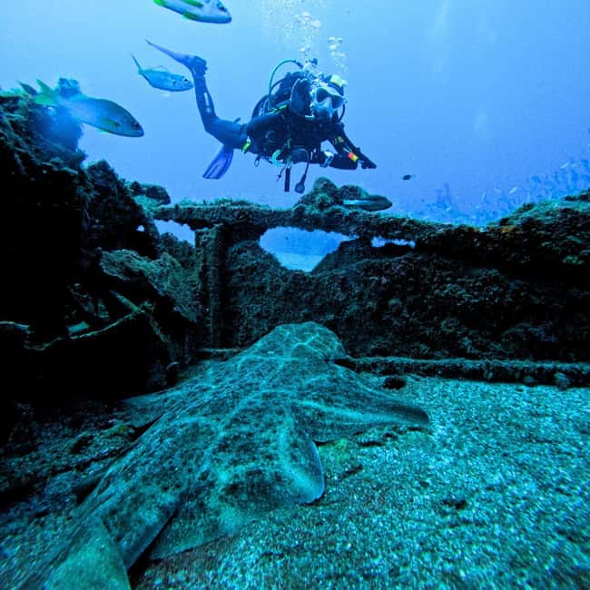 Scuba Diving trips for Certified Divers in Tenerife - The value at $64 per person