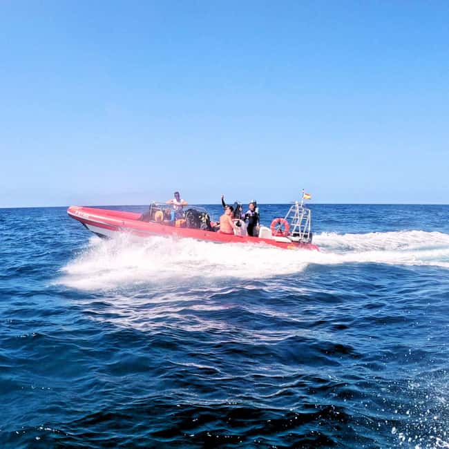 Scuba Diving trips for Certified Divers in Tenerife - What the staff and equipment are like