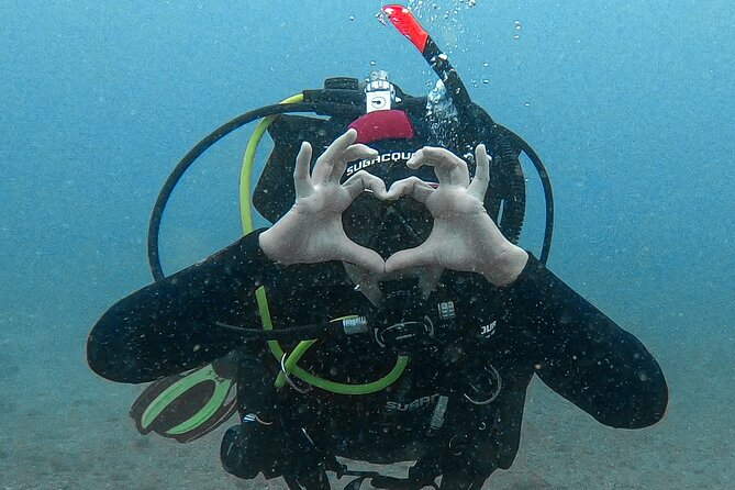 Scuba Diving try dive in Fuerteventura - Key points at a glance