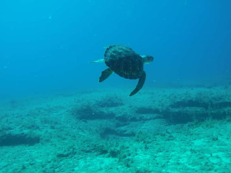 Scuba Diving - Tunnels & Caves - Cape Greco - private guided - Why the private format is worth considering