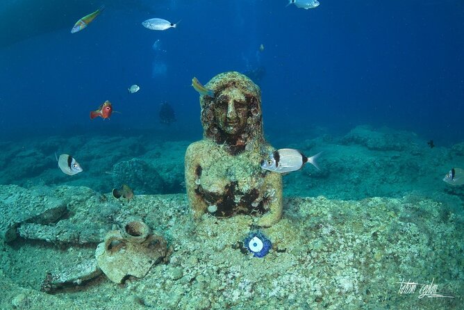 Scuba Diving Under Water Museum - Two 40-minute sessions, with lunch between them