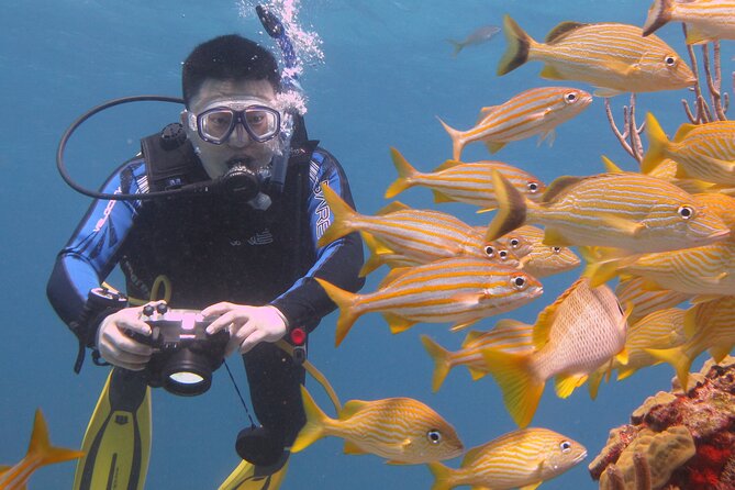 Scuba Diving Under Water Museum and Reef for beginners - Group size, attention, and safety