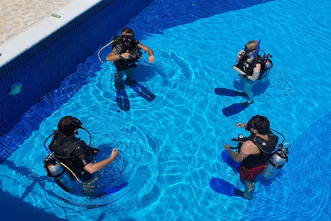 Scuba Diving Under Water Museum and Reef for beginners - Who will enjoy this program most