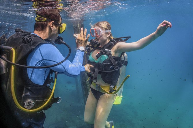 Scuba Diving with a 5-Star PADI Center in Puerto Vallarta - What the Puerto Vallarta scuba outing is really like
