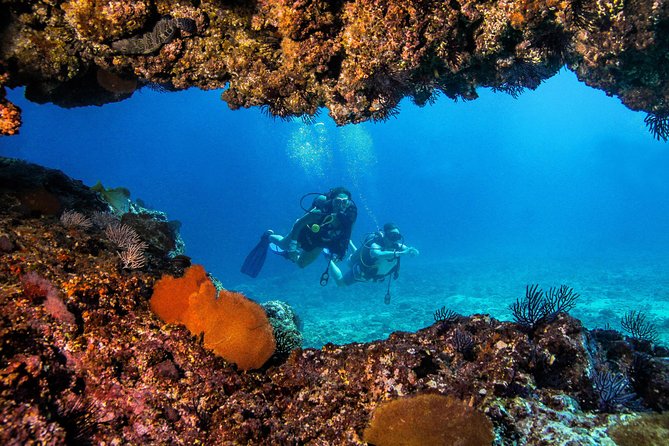 Scuba Diving with a 5-Star PADI Center in Puerto Vallarta - The Marietas Islands and conservation rules