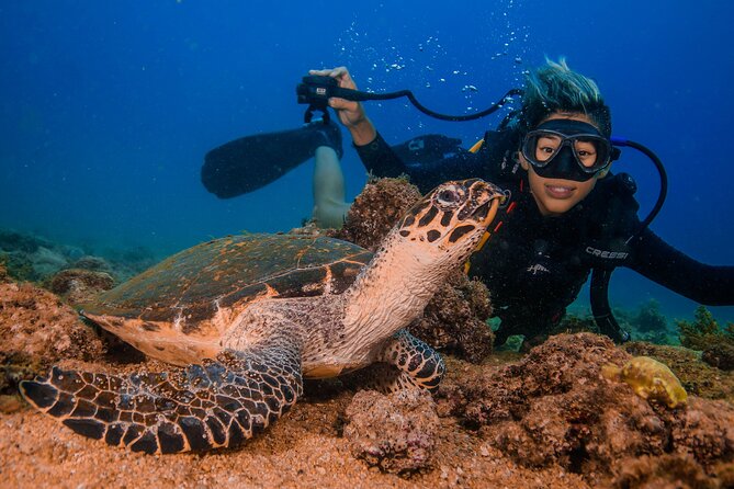 Scuba Diving with a 5-Star PADI Center in Puerto Vallarta - Price, extra fees, and what you actually receive