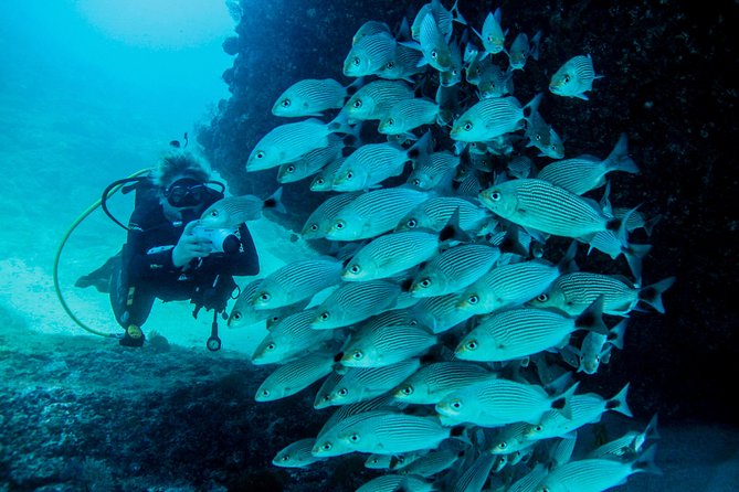 Scuba Diving with a 5-Star PADI Center in Puerto Vallarta - Boat timing, sea sickness, and comfort