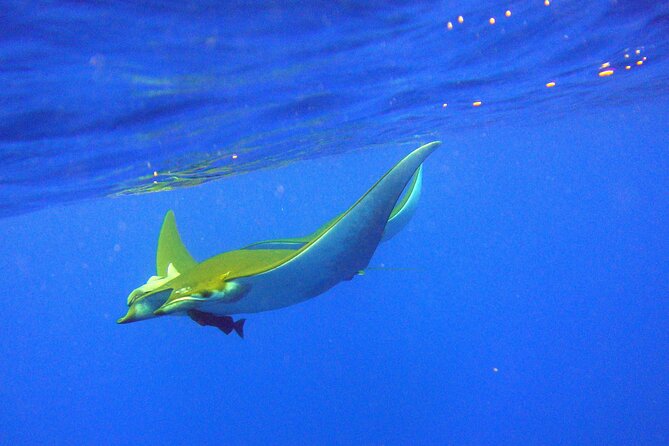 Scuba Diving - Meeting the crew at Cabo Trek
