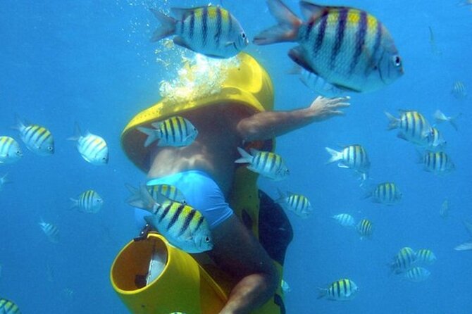 Scuba Doo - Diving Scooters in Punta Cana - Key points to know before you book