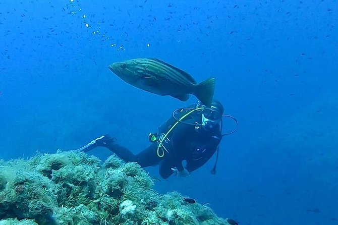 Scuba Experience - Starting at Jonio Pro-Dive in Catania