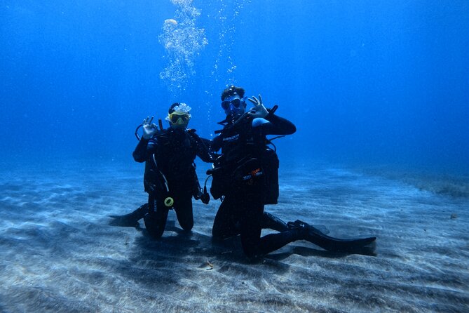 Scuba Experience in Tenerife with Guide - Key points to know before you book