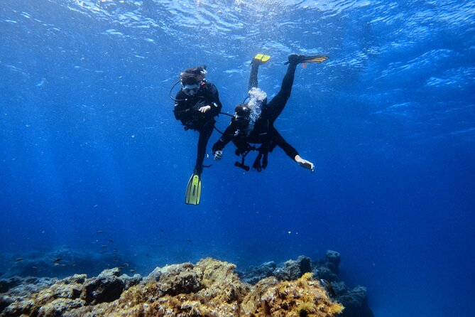 Scuba Experience in Tenerife with Guide - A first look beneath Tenerife’s volcanic coast