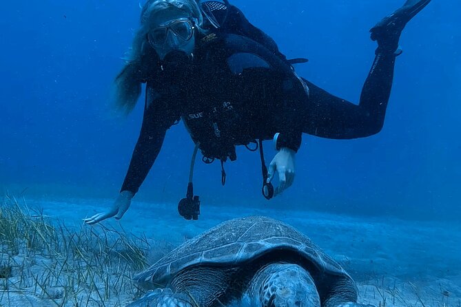 Scuba Experience in Tenerife with Guide - The 8:30 am meeting in Los Cristianos