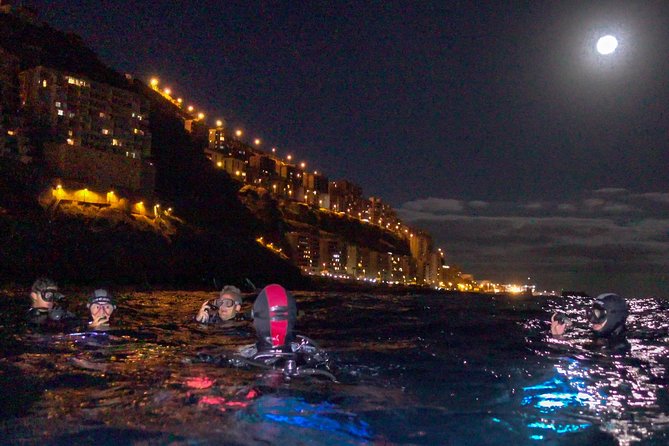 Scuba Night Dive on Tenerife - Key points to know before booking