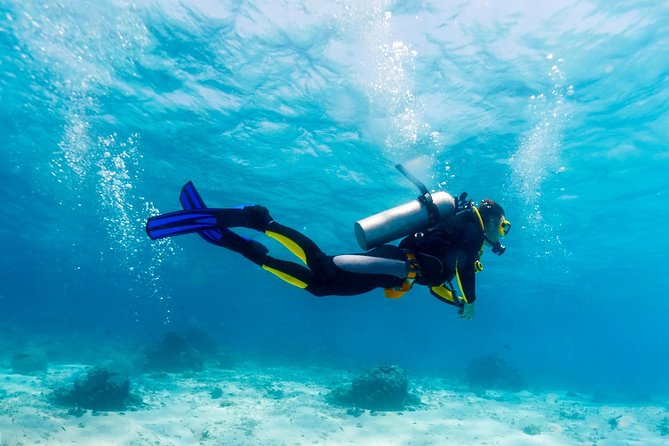 Scuba Referral Dives & Beach Club with Transportation In Riviera Maya - Turning pool practice into open-water certification