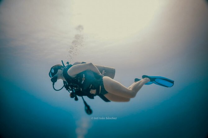 Scuba Referral Dives & Beach Club with Transportation In Riviera Maya - Is the $300 price good value?