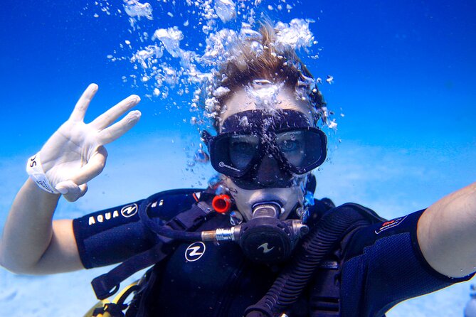 Scuba Referral Dives & Beach Club with Transportation In Riviera Maya - Who should choose this course?