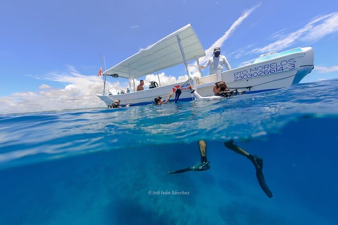 Scuba Referral Dives & Beach Club with Transportation In Riviera Maya - What to confirm before you reserve