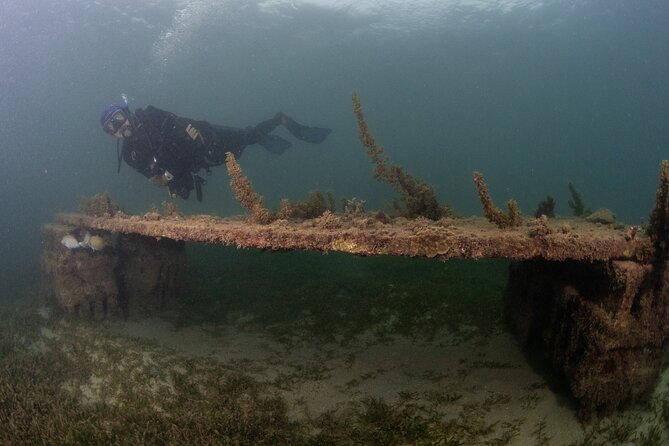 Scuba Tour for Certified Divers in San Juan - The protected bay and urban reef