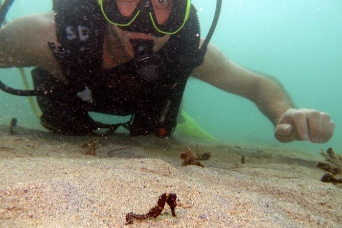 Scuba Tour for Certified Divers in San Juan - How the two-and-a-half-hour schedule works