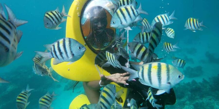 Scubadoo Punta Cana Diving Adventure - Seeing Punta Cana from Above and Below the Water
