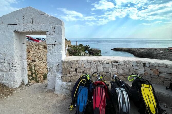Sea Baptism Scuba Experience in Polignano a Mare - What you may see below Polignano a Mare