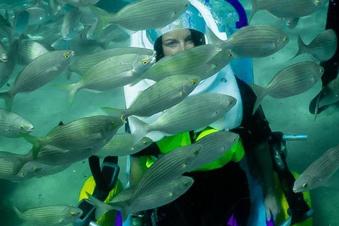 Sea Trek and Diving for handicaped people - Who will get the most from Sea Trek