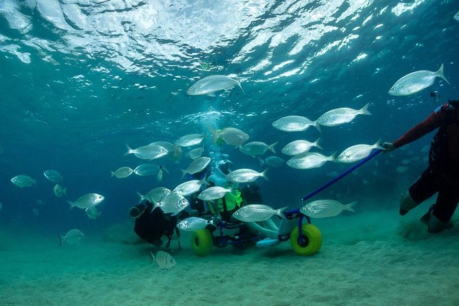 Sea Trek and Diving for handicaped people - Getting equipped for the water