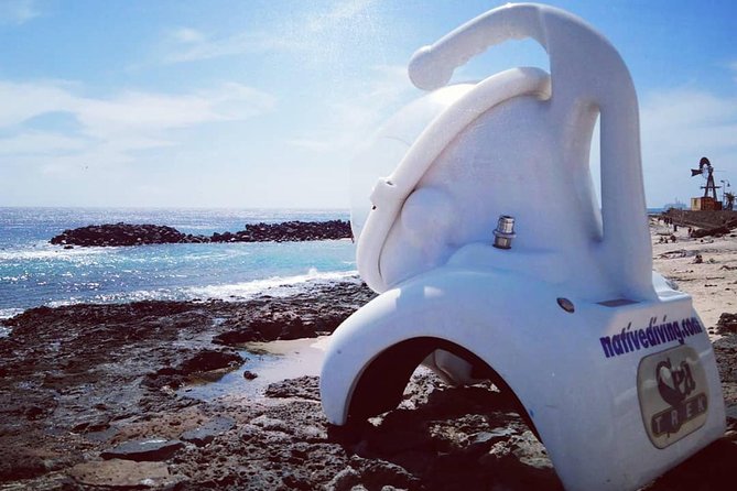 Sea Trek Diving Experience in Costa Teguise - Walking the seabed in a Sea Trek helmet