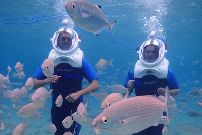 Sea Trek Diving Experience in Costa Teguise - What happens at the Costa Teguise meeting point