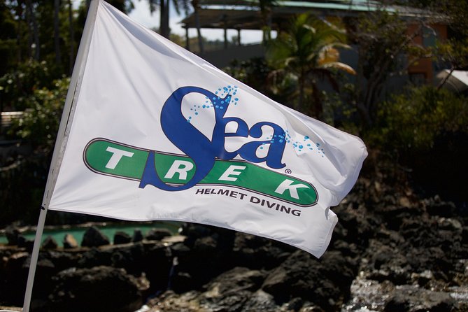 Sea Trek Helmet Dive at Coral World Ocean Park - What You Can Do After the Helmet Walk