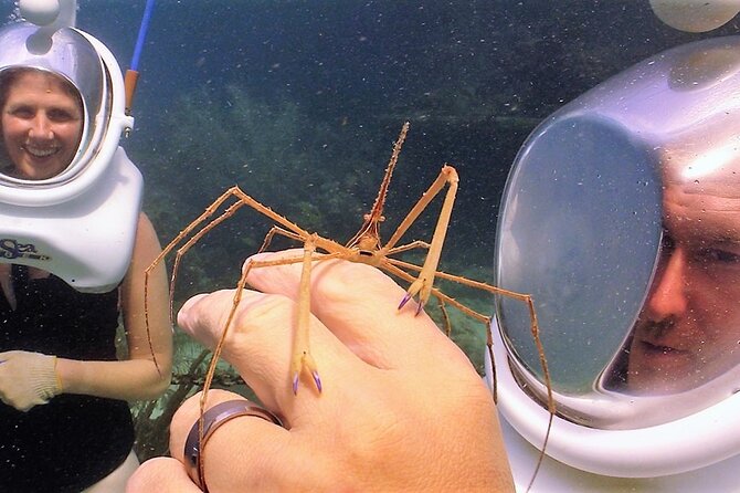Sea Trek Helmet Dive at Coral World Ocean Park - Is $119 a Fair Price?