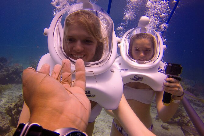 Sea Trek Helmet Dive at Coral World Ocean Park - Safety Rules You Should Read Before Booking