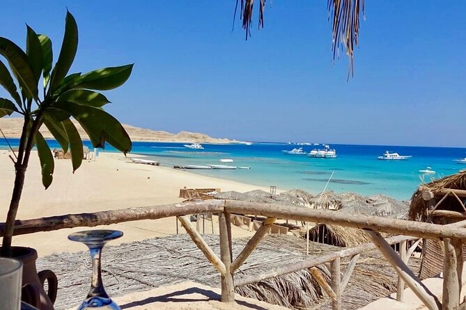Sea Trip Orange Bay Island & Professional Scopa Diving -Hurghada - Starting at 8:00 am from your Hurghada hotel